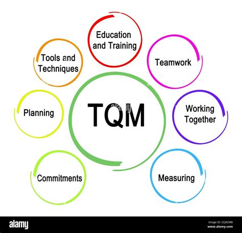 what are the seven concepts of total quality management